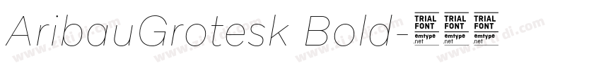 AribauGrotesk Bold字体转换